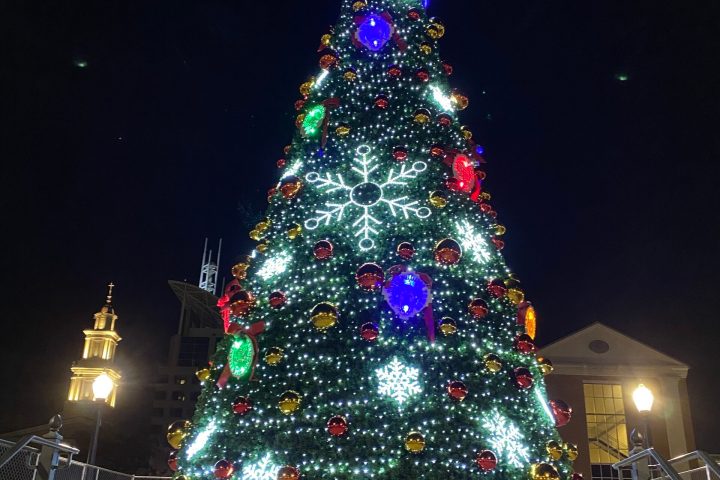 a christmas tree lit up at night