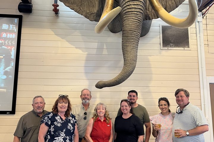 Group of people posing beneath a large mounted elephant head on a wall.