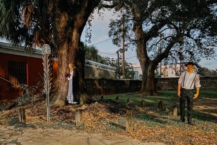 a tree in front of a house