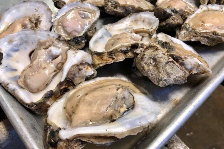 a close up of food