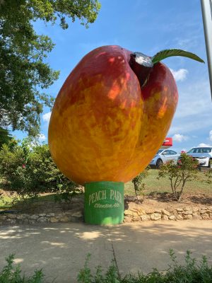 a close up of a fruit